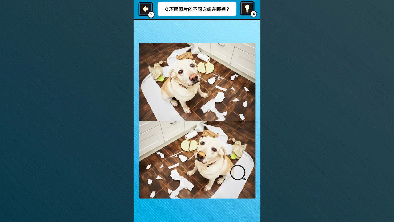 锻炼你的大脑！在狗狗照片中找出异同