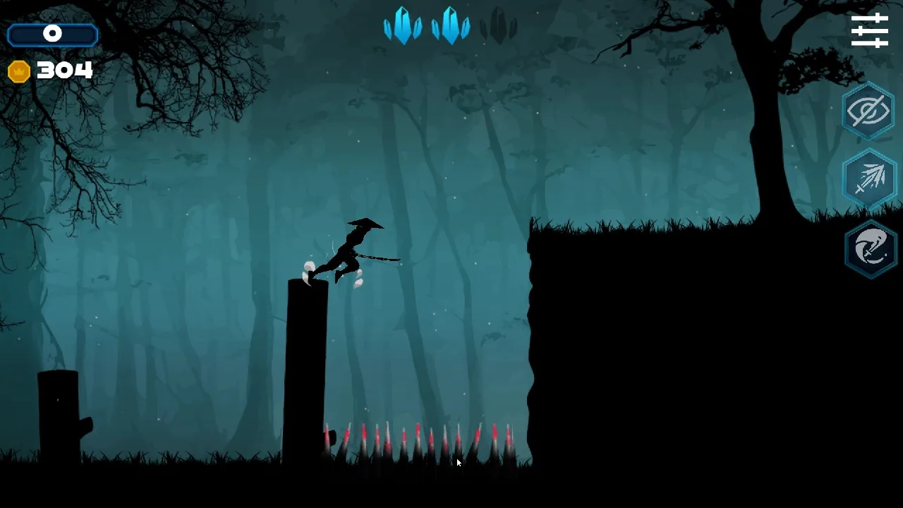Ninja Shadow Quest