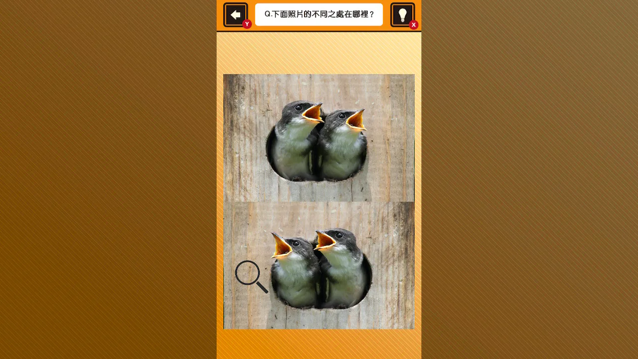 锻炼你的大脑！在小动物照片中找出异同
