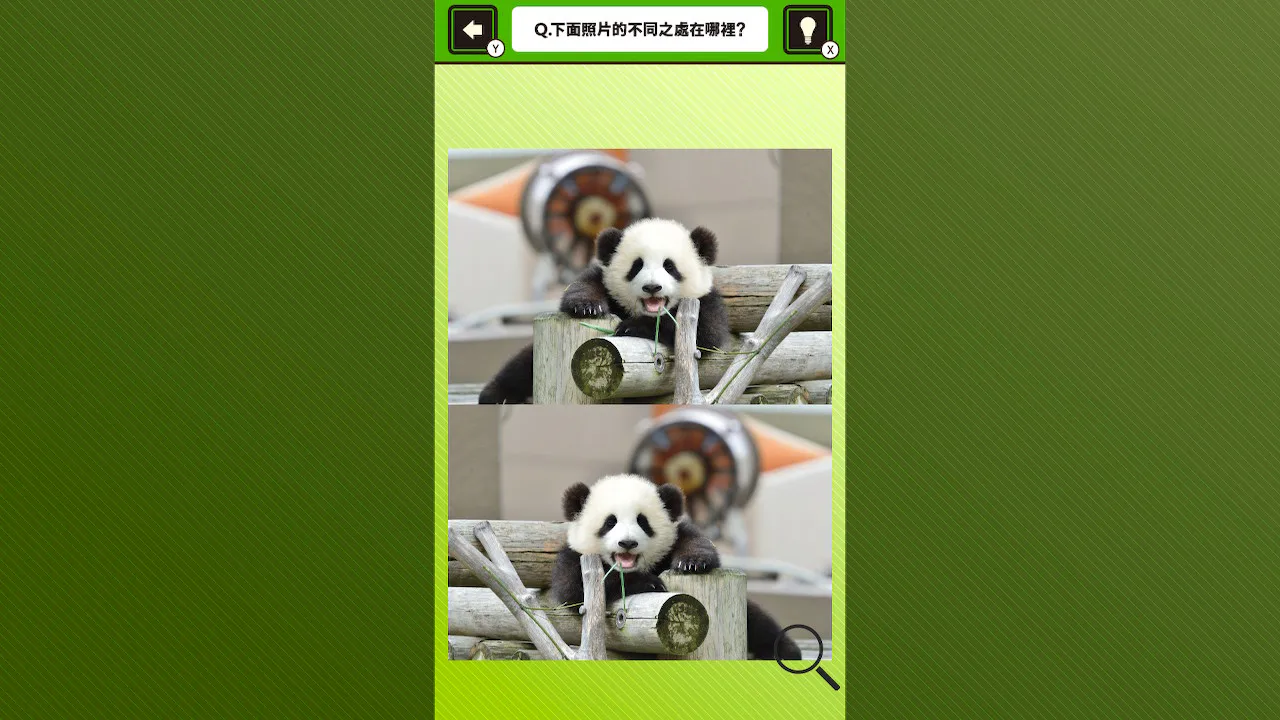 超可爱！寻找熊猫照片中的错误