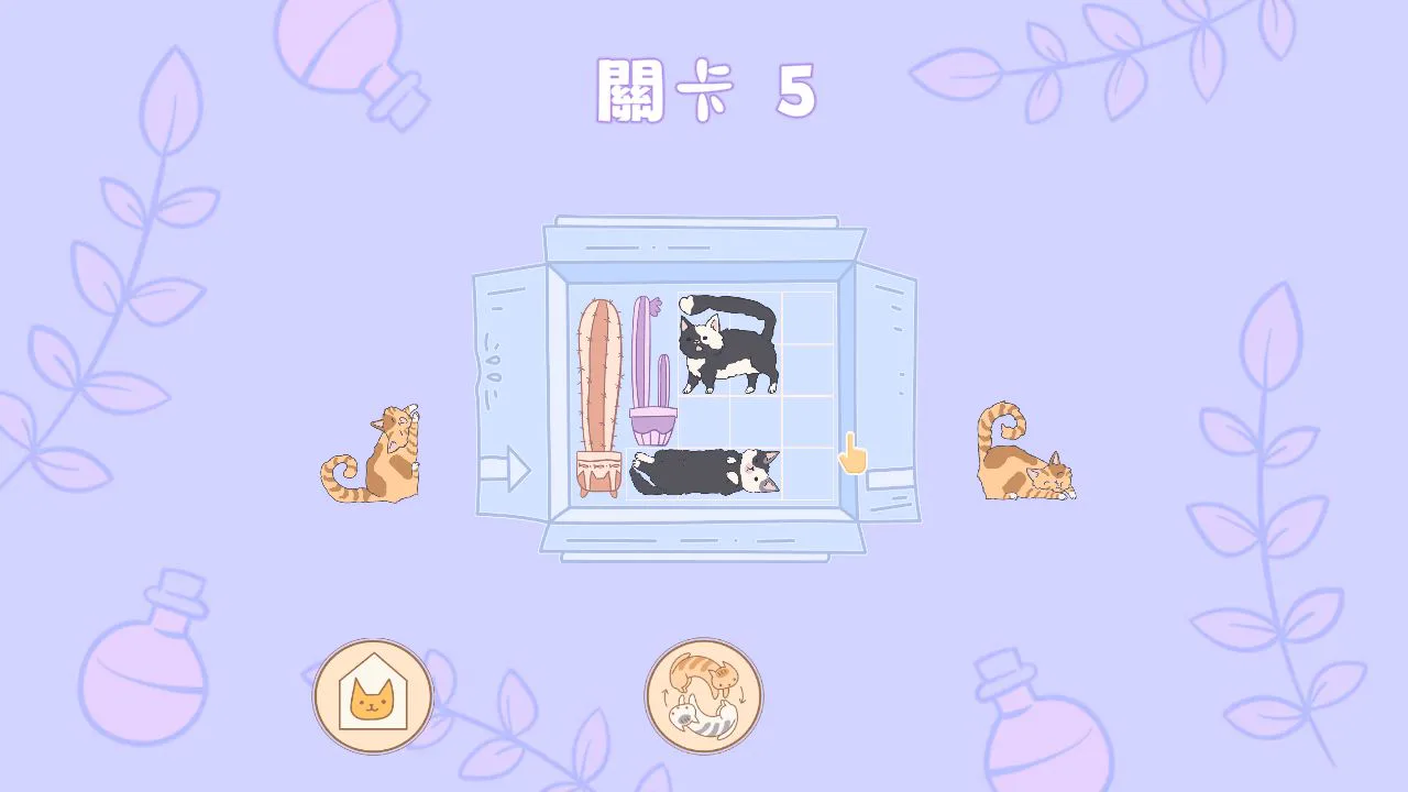 Cats in Boxes : 盒中猫