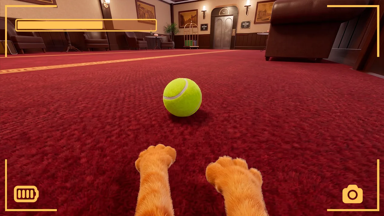Strays POV Tales