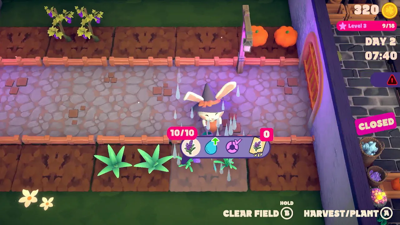 Cat&Rabbit Magic Farming